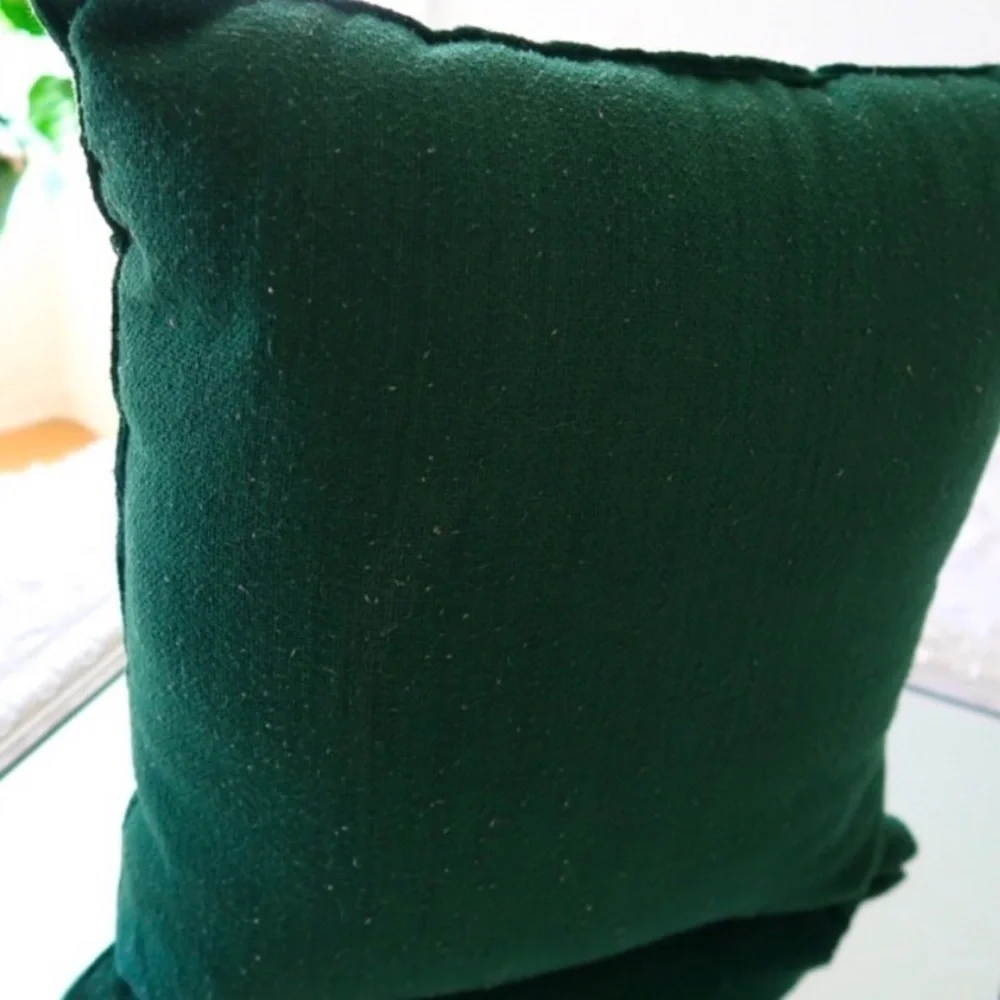 WORLD MARKET Decorative Pillow